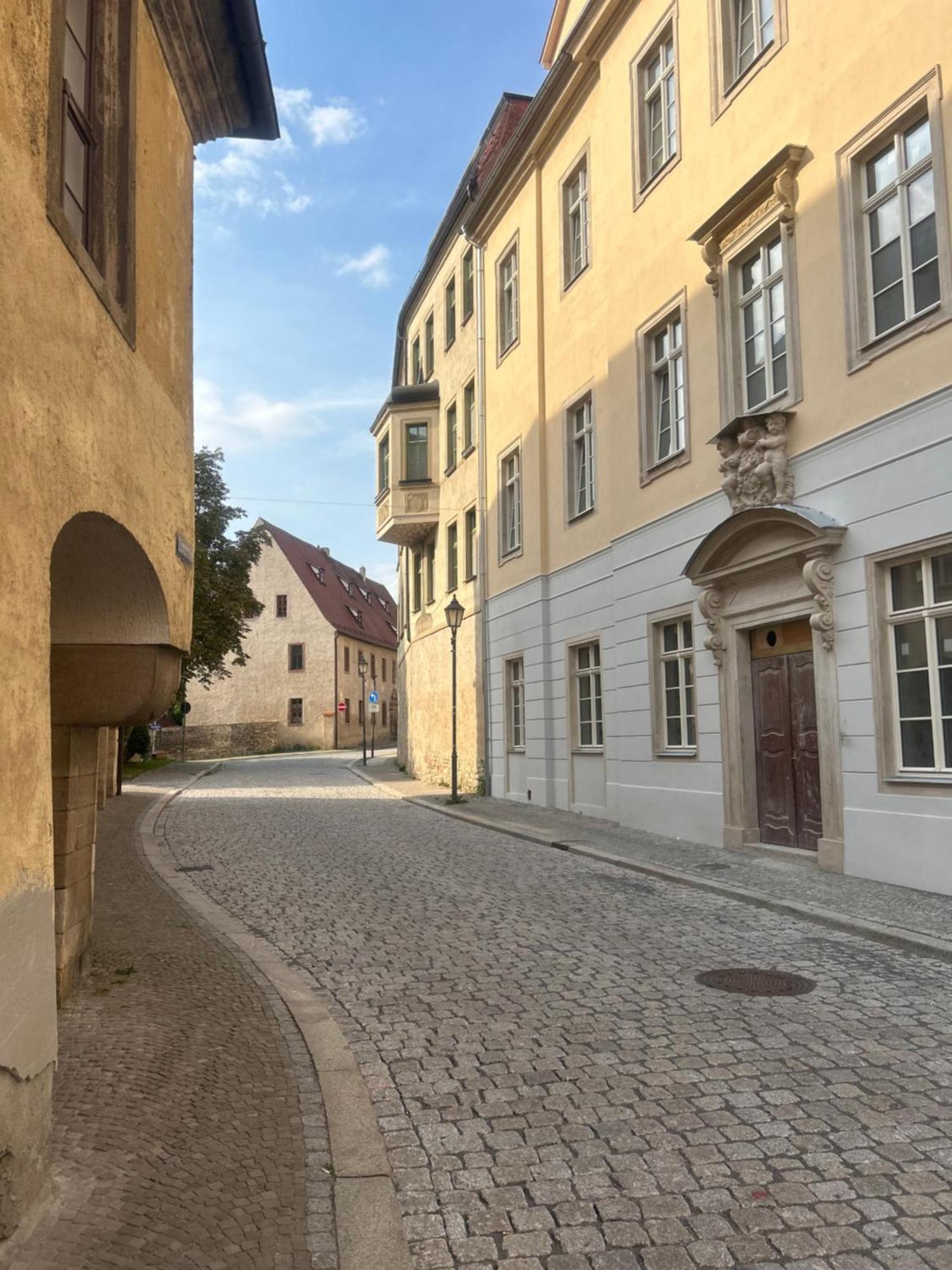 Maximi Loft - Ferien & Business Apartment Merseburg Bagian luar foto